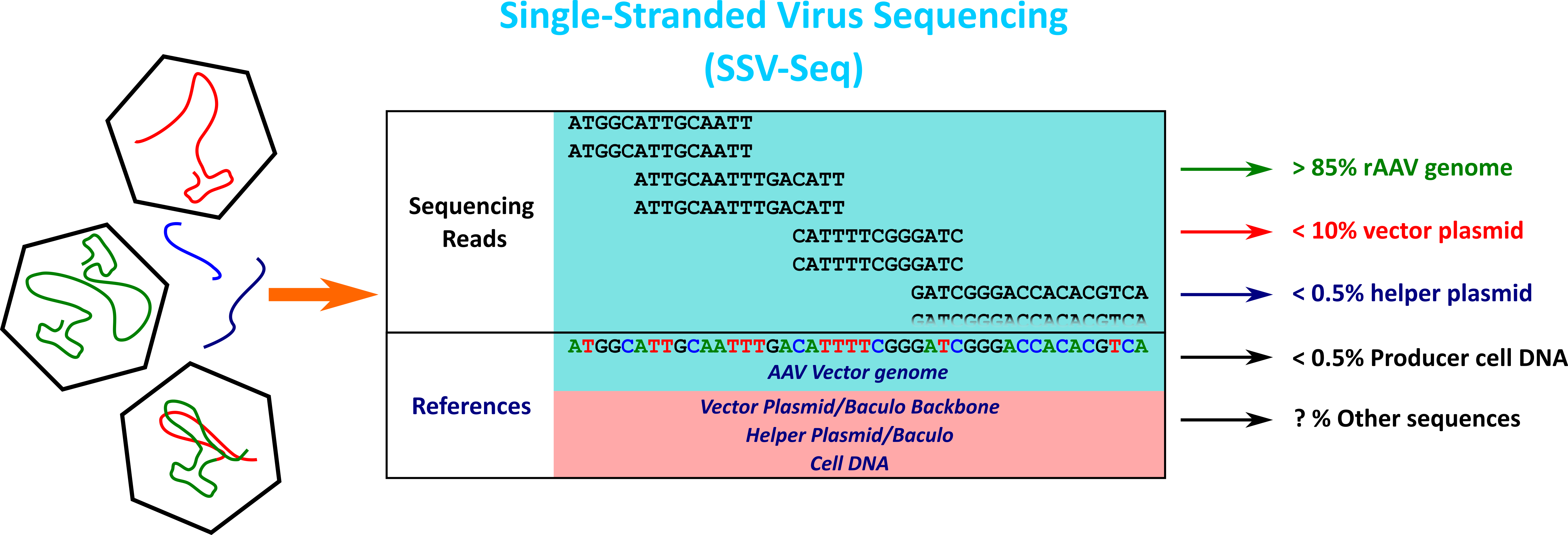 SSVSeq2